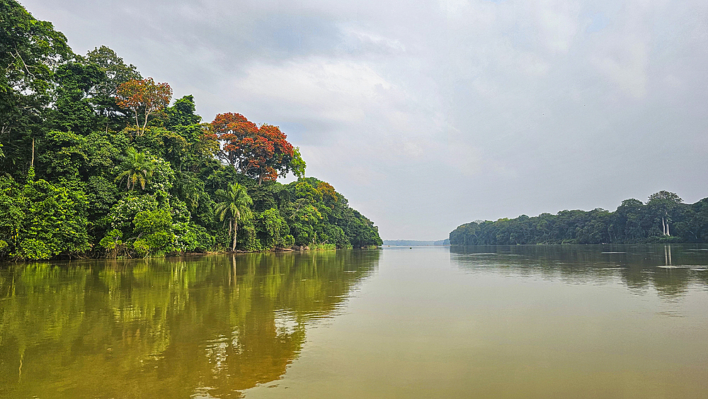 Sangha river in the Trinational Lobeke National Park, Republic of Congo