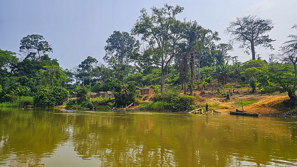 Sangha river in the Trinational Lobeke National Park, Republic of Congo