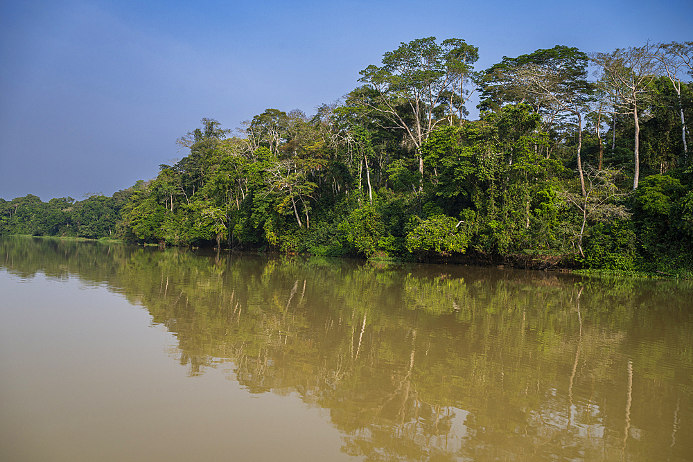 Reflections in the Sangha River, Unesco site Dzanga Sangha National Park, Central African Republic