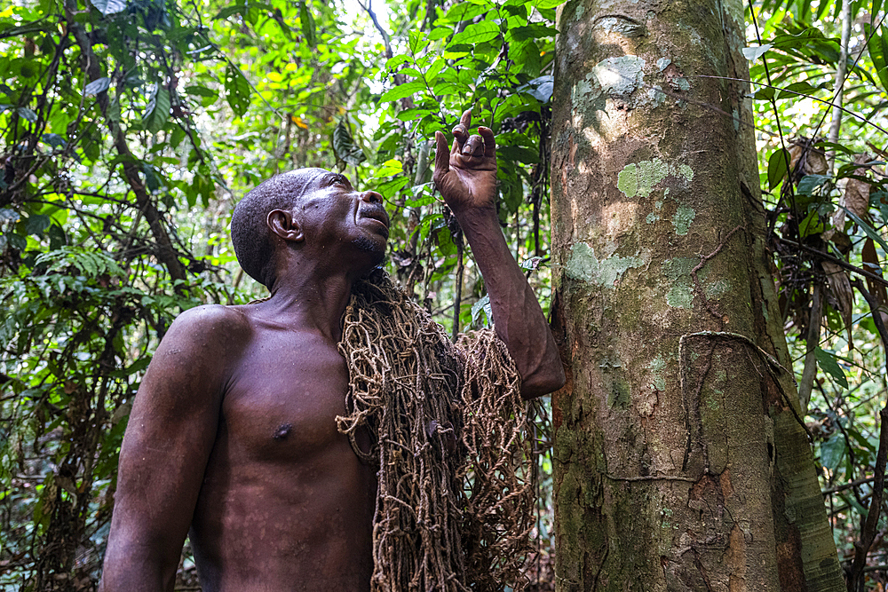 Pygmy man going nethunting, Unesco site Dzanga Sangha National Park, Central African Republic