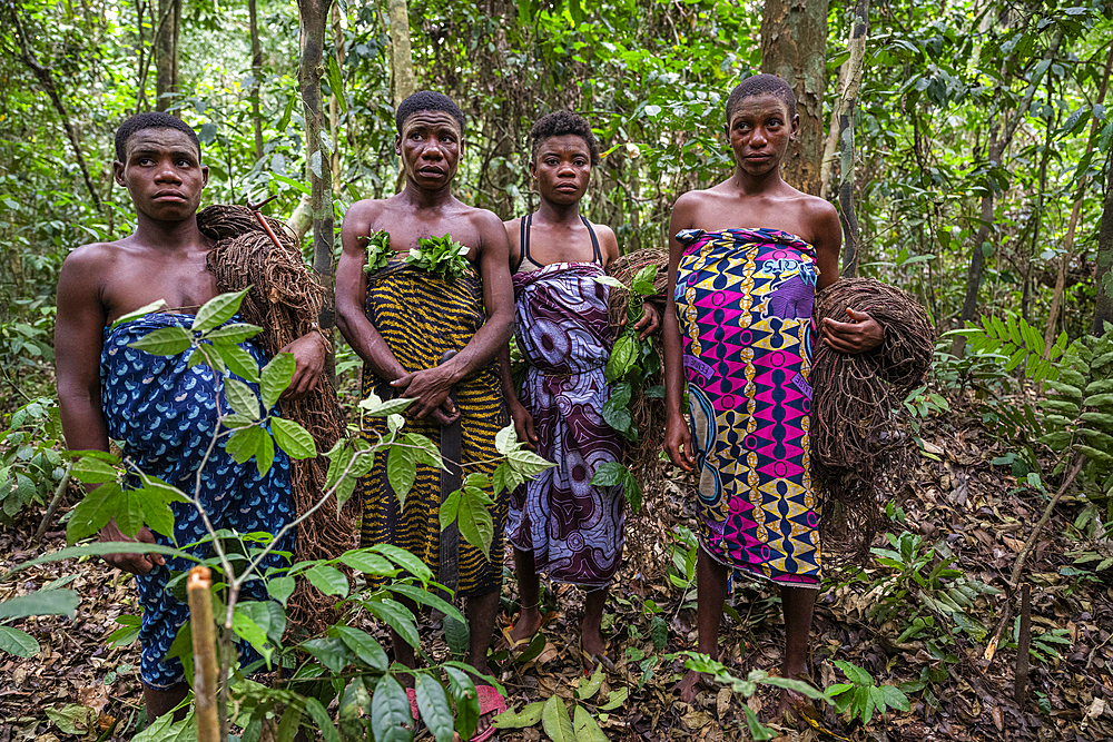 Pygmy women in the jungle, Unesco site Dzanga Sangha National Park, Central African Republic