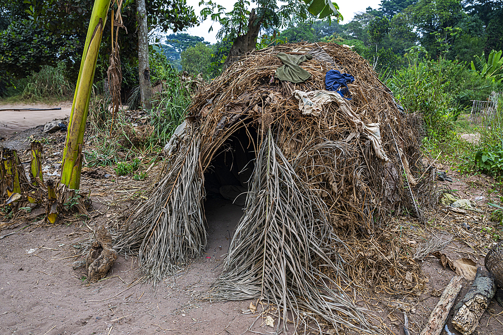 Pygmy dwelling, Unesco site Dzanga Sangha National Park, Central African Republic