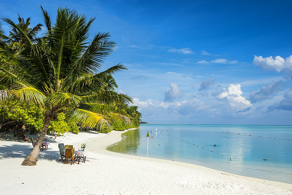 White sand beach and turquoise water, Sun Island Resort, Nalaguraidhoo island, Ari atoll, Maldives, Indian Ocean, Asia