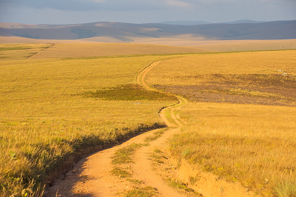 Dusty road leading through the Nyika National Park, Malawi, Africa