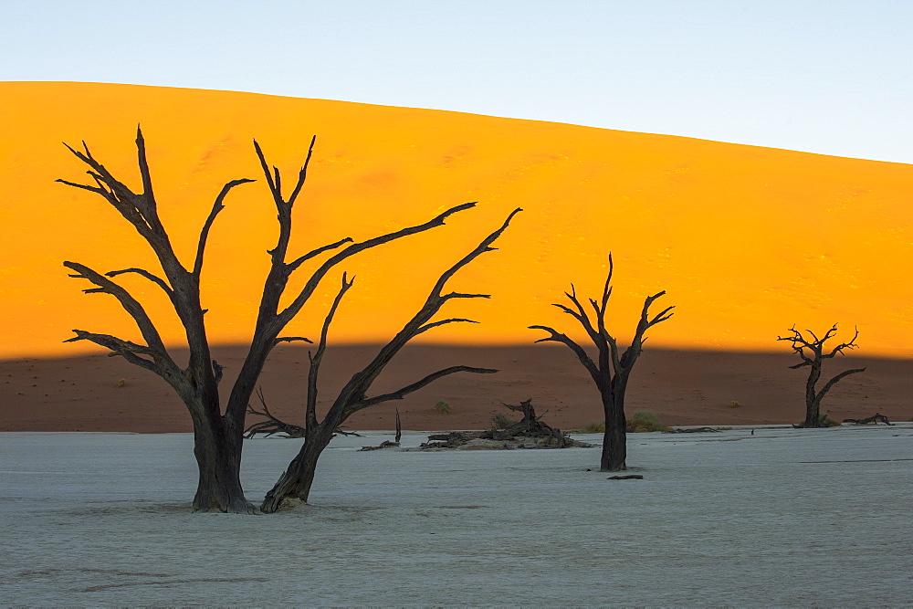 Deadvlei, an old dry lake in the Namib desert, Namibia, Africa