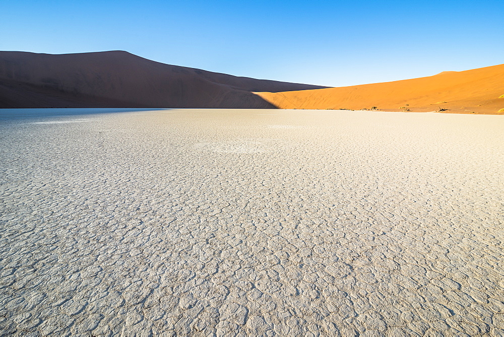 Deadvlei, an old dry lake in the Namib desert, Namibia, Africa