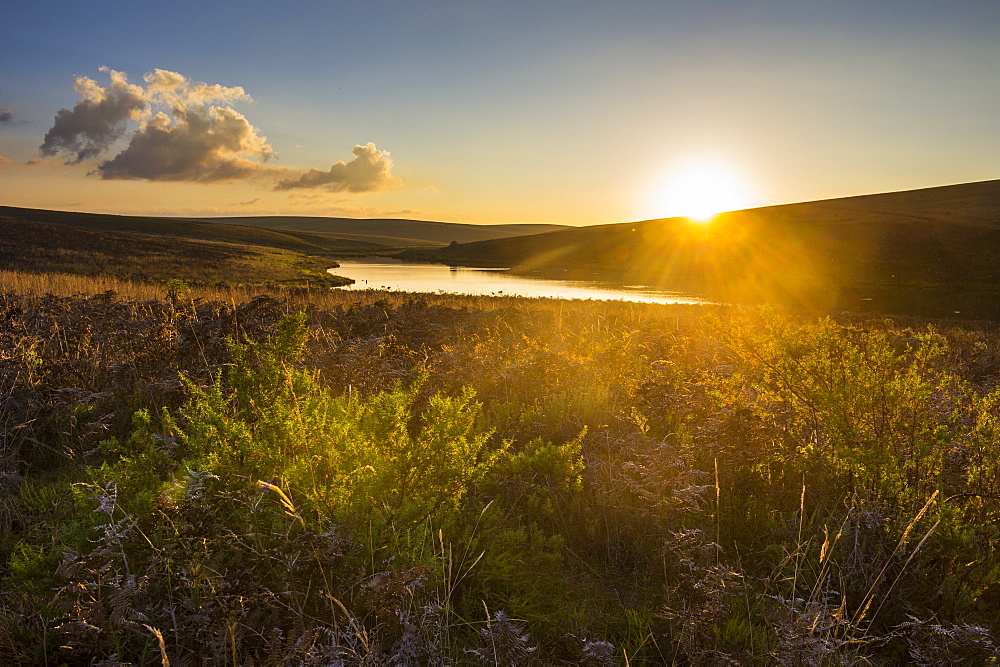 Little lake at sunset, Nyika National Park, Malawi, Africa