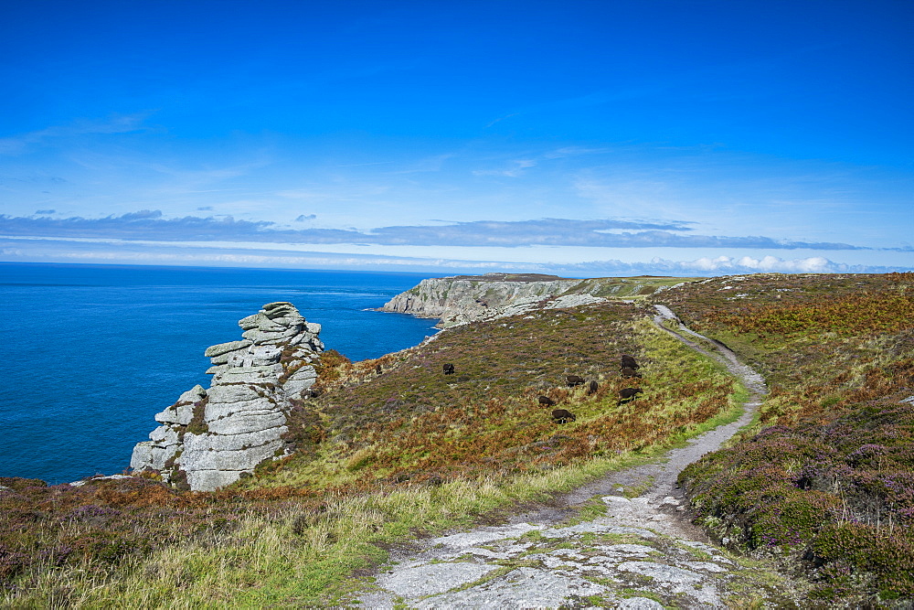 Island of Lundy, Bristol Channel, Devon, England, United Kingdom, Europe