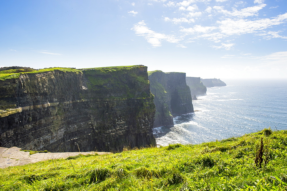 Cliffs of Moher, The Burren, County Clare, Munster, Republic of Ireland, Europe