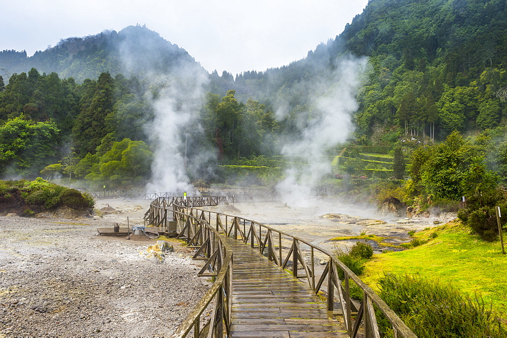 Fumaroles of Furnas Lake, Island of Sao Miguel, Azores, Portugal, Atlantic, Europe