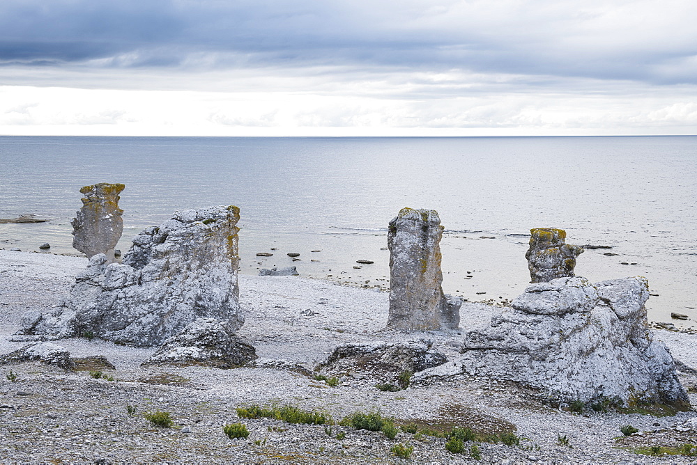 Unique Langhammars sea stacks, Faro, Gotland, Sweden, Scandinavia, Europe