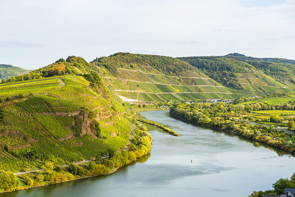 The Moselle River near Bremm, Moselle River, Rhineland-Palatinate, Germany, Europe