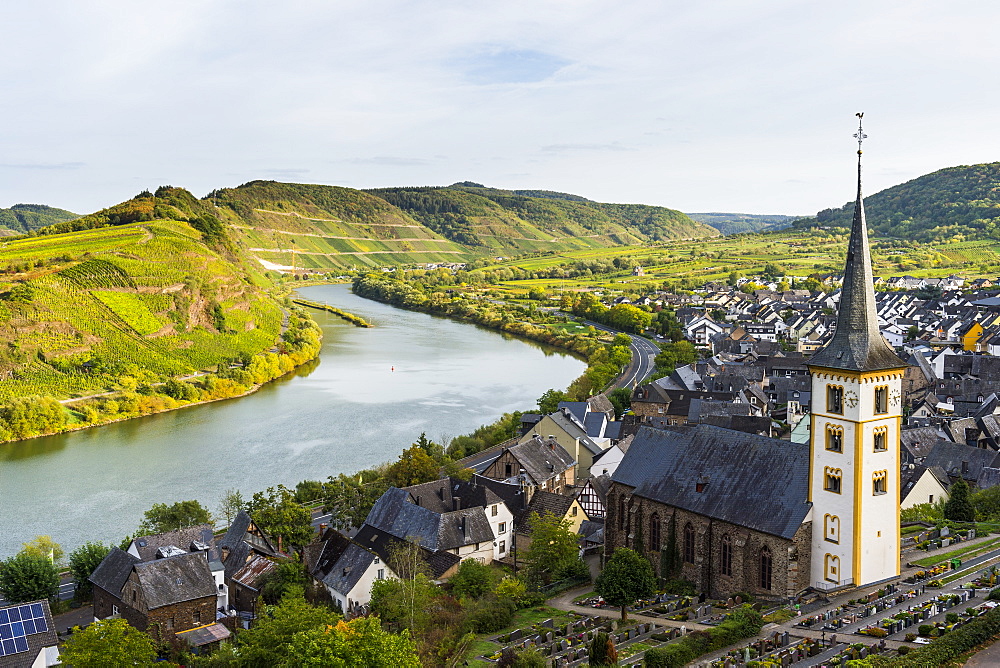 Vineyards above Bremm on the Moselle River, Rhineland-Palatinate Germany, Europe