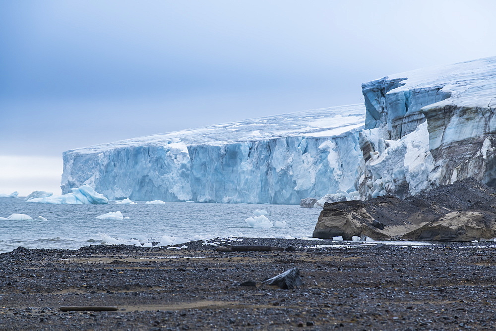 Champ Island, Franz Josef Land archipelago, Arkhangelsk Oblast, Arctic, Russia, Europe