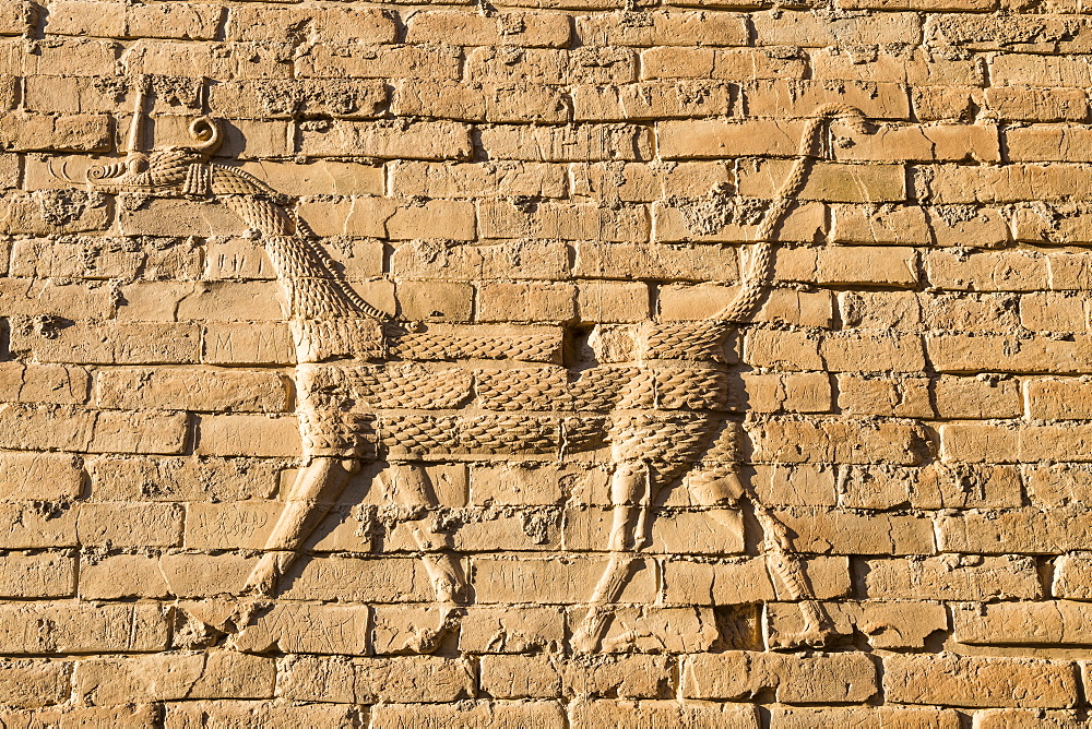 Mushussu (sirrush) and aurochs relief, Babylon, Iraq, Middle East