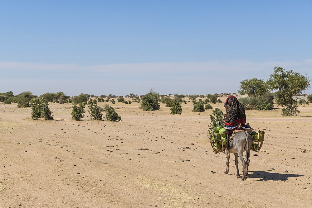 Woman on her donkey, Abeche, Chad, Africa