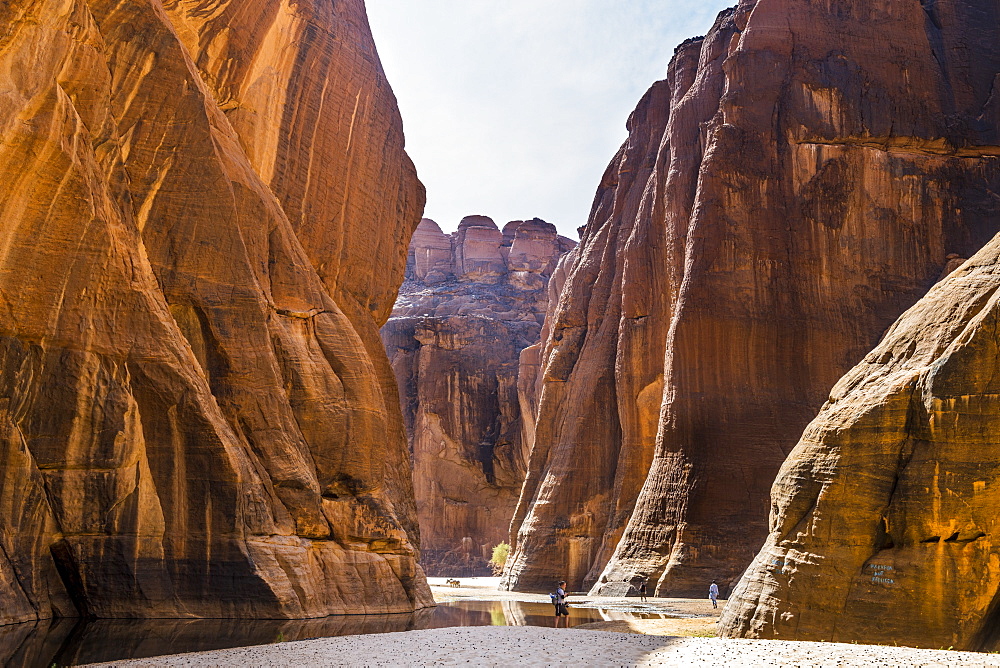 Guelta d'Archei waterhole, Ennedi Plateau, UNESCO World Heritage Site, Ennedi region, Chad, Africa