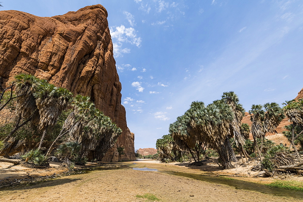 Waterhole, Ennedi Plateau, UNESCO World Heritage Site, Ennedi region, Chad, Africa