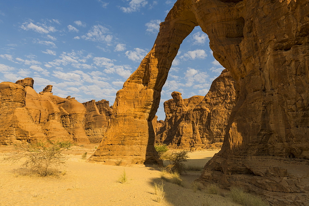 Elephant rock arch, Ennedi Plateau, UNESCO World Heritage Site, Ennedi region, Chad, Africa