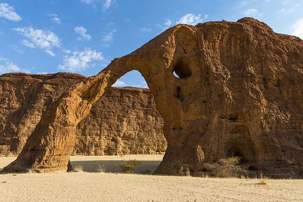 Elephant rock arch, Ennedi Plateau, UNESCO World Heritage Site, Ennedi region, Chad, Africa