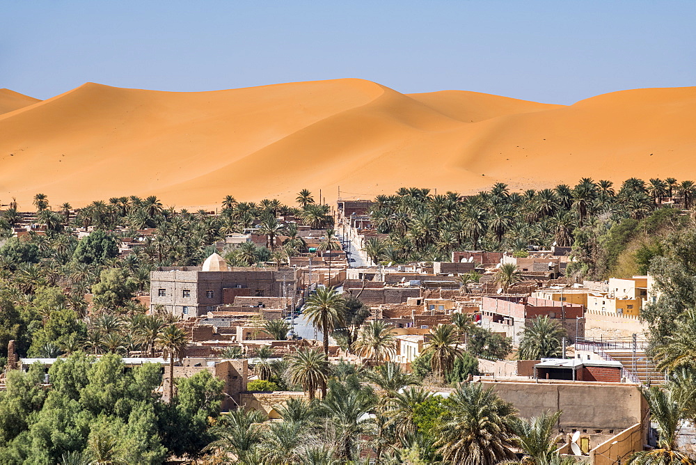 View over the palm oasis of Beni Abbes, Sahara, Algeria, North Africa, Africa