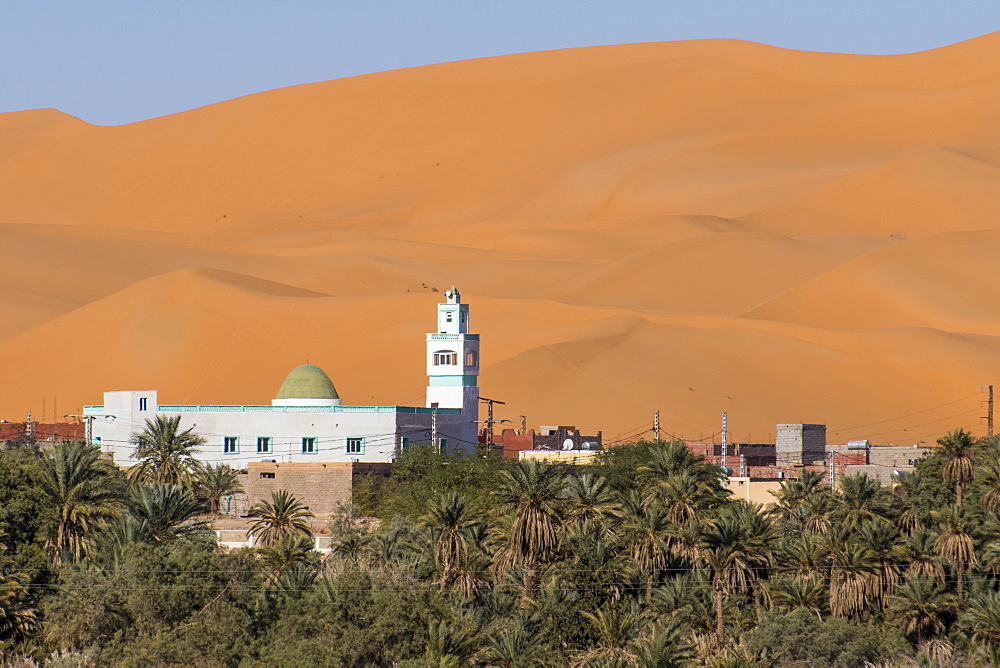 View over the palm oasis of Beni Abbes, Sahara Desert, Algeria, North Africa, Africa