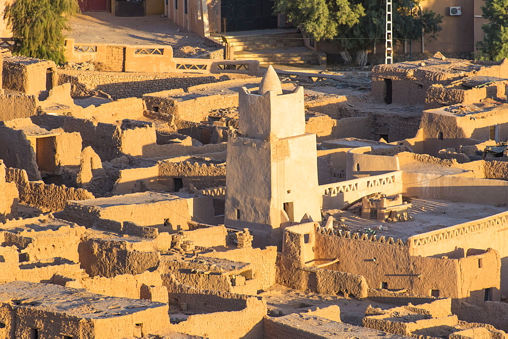 View over the Oasis of Taghit, western Algeria, North Africa, Africa