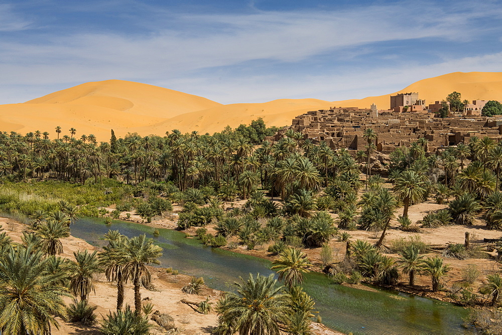 View over the Oasis of Taghit, western Algeria, North Africa, Africa