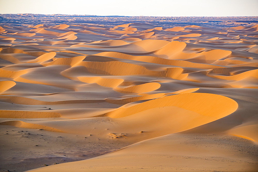 Sunset in the giant sand dunes of the Sahara Desert, Timimoun, western Algeria, North Africa, Africa