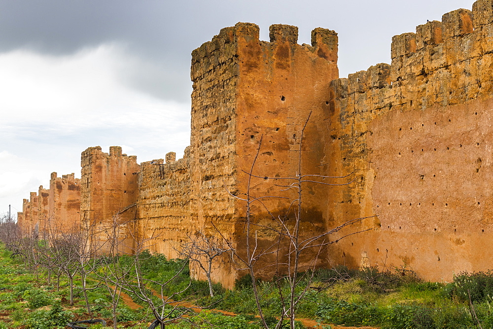 Outer castle wall, Mansourah castle, Tlemcen, Algeria, North Africa, Africa