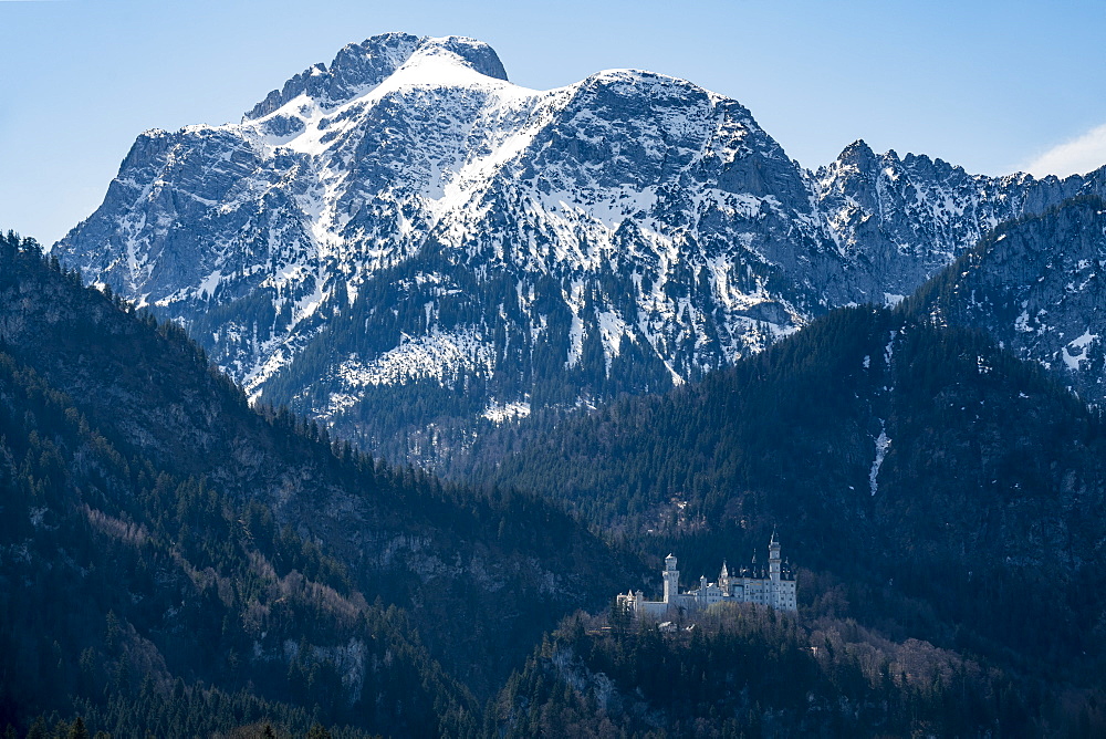 Castle Neuschwanstein, with the Alps behind, Schwangau, Bavaria, Germany, Europe