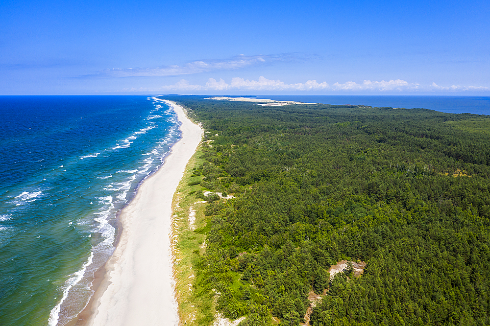 Aerial by drone of the Curonian Spit National Park, UNESCO World Heritage Site, Kaliningrad, Russia, Europe