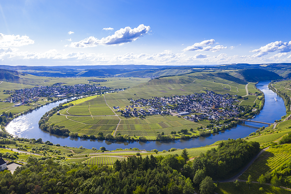 The Moselle at Trittenheim, Moselle Valley, Rhineland-Palatinate, Germany, Europe