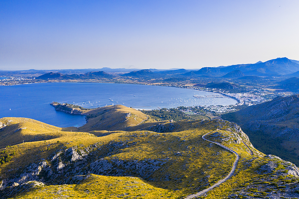 Aerial by drone of the bay of Pollenca, Mallorca, Balearic Islands, Spain, Mediterranean, Europe