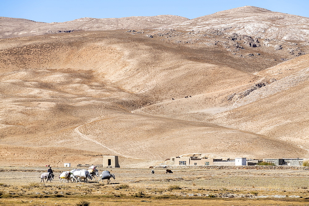 Caravan in the high altitude desert of Bamyan, Afghanistan, Asia