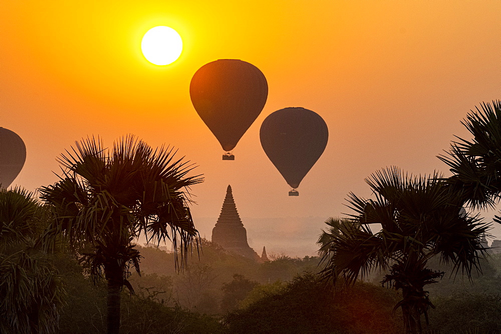 Hot air balloons over Bagan at sunrise, Bagan (Pagan), Myanmar (Burma), Asia