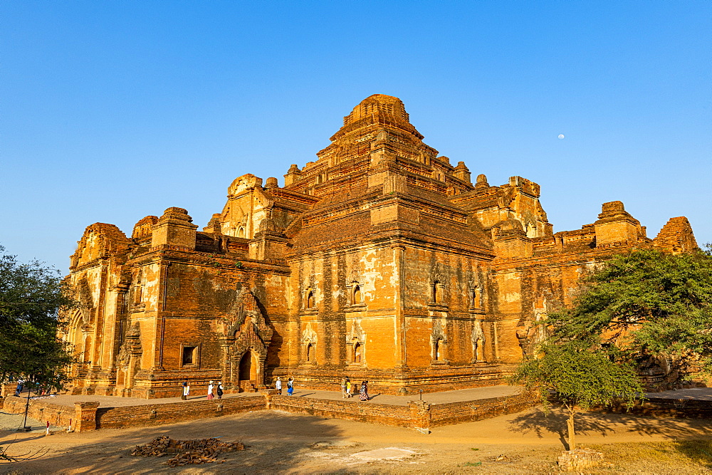 Dhammayan Gyi Temple at sunset, Bagan (Pagan), Myanmar (Burma), Asia