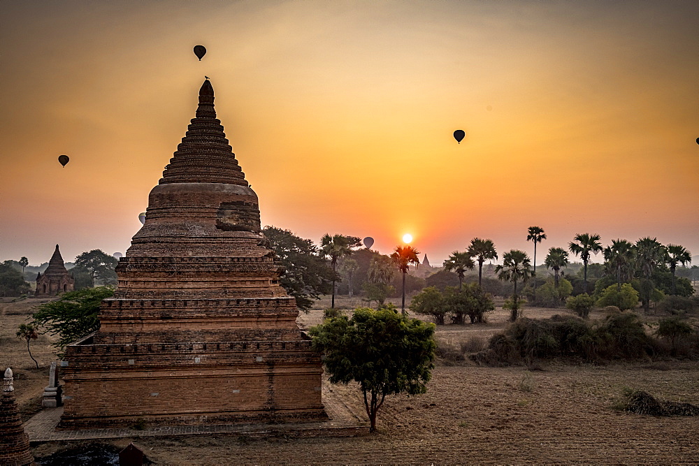 Hot air balloons over Bagan at sunrise, Bagan (Pagan), Myanmar (Burma), Asia