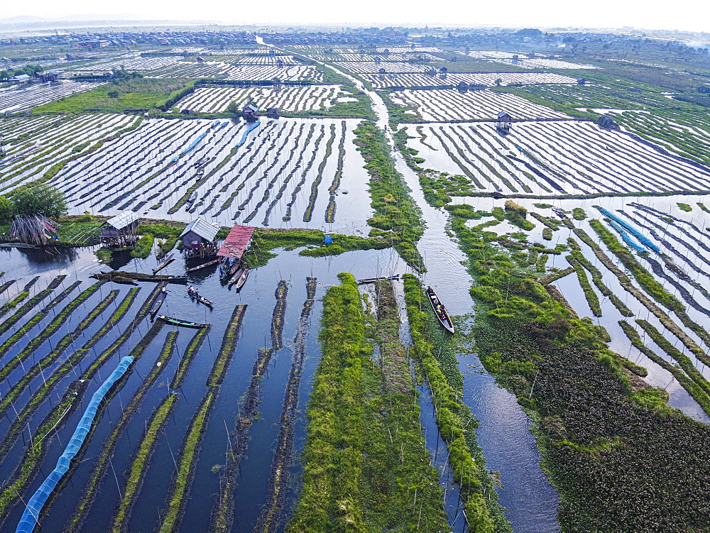 Aerial by drone of the floating gardens, Inle Lake, Shan state, Myanmar (Burma), Asia