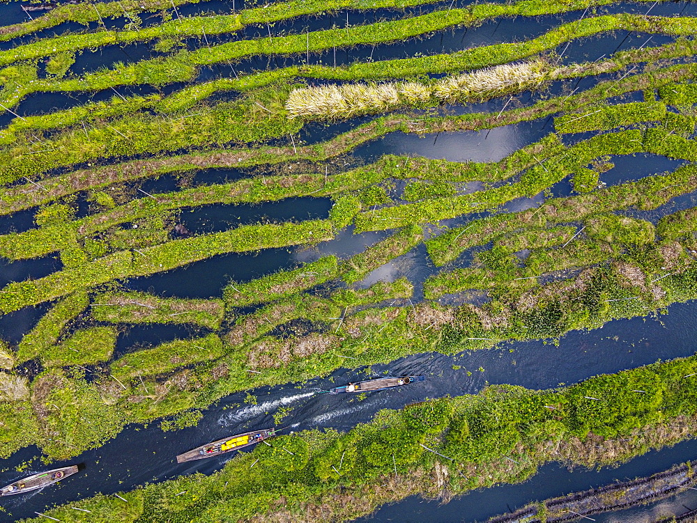 Aerial by drone of the floating gardens, Inle Lake, Shan state, Myanmar (Burma), Asia