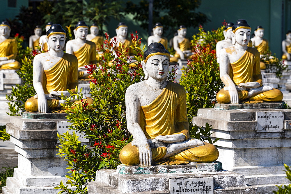 Buddhas lining up, Aung Zay Yan Aung Pagoda, Myitkyina, Kachin state, Myanmar (Burma), Asia