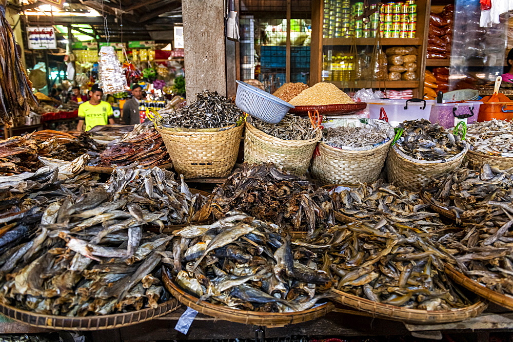 Dried fish on the market of Myitkyina, Kachin state, Myanmar (Burma), Asia