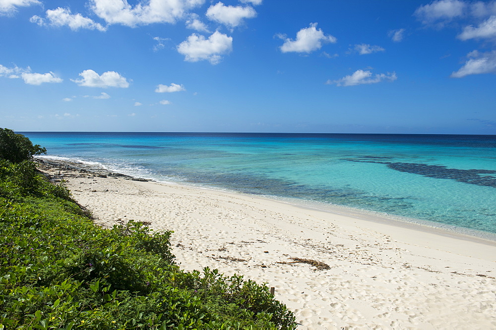 Beautiful white sand beach and turquoise water in Providenciales, Turks and Caicos, Caribbean, Central America