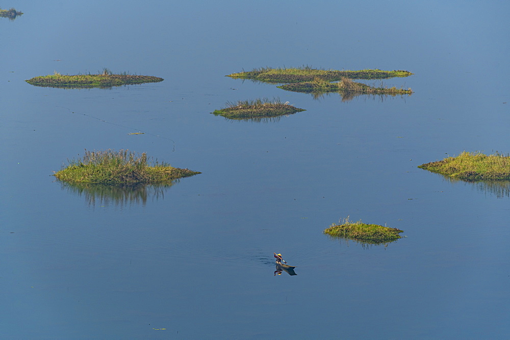 Fisherman in his canoe fishing between phumdis (floating islands), Loktak Lake, Moirang, Manipur, India, Asia