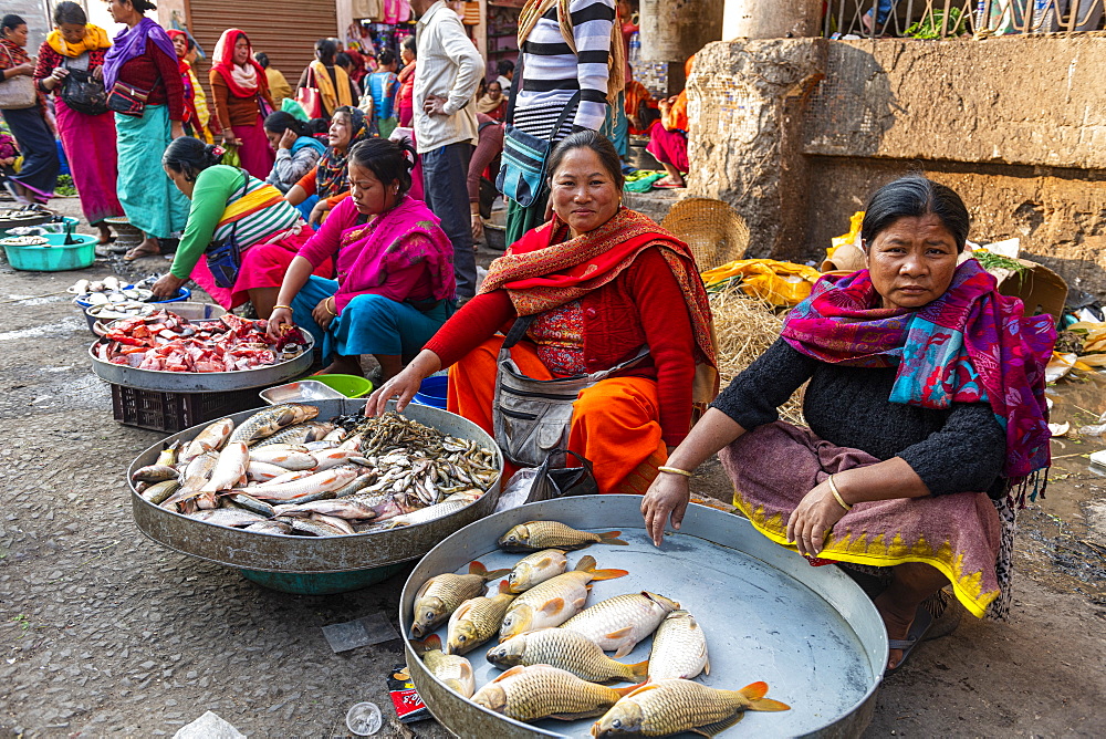 Colourfully dressed women vendors selling fish, Ima Keithel women's market, Imphal, Manipur, India, Asia