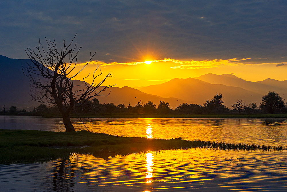 Sunrise over the Lake Kerkini, Macedonia, Greece, Europe