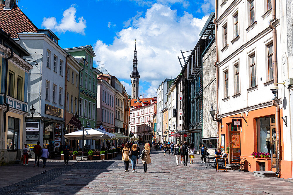 Old Hanseatic town of Tallinn, UNESCO World Heritage Site, Estonia, Europe