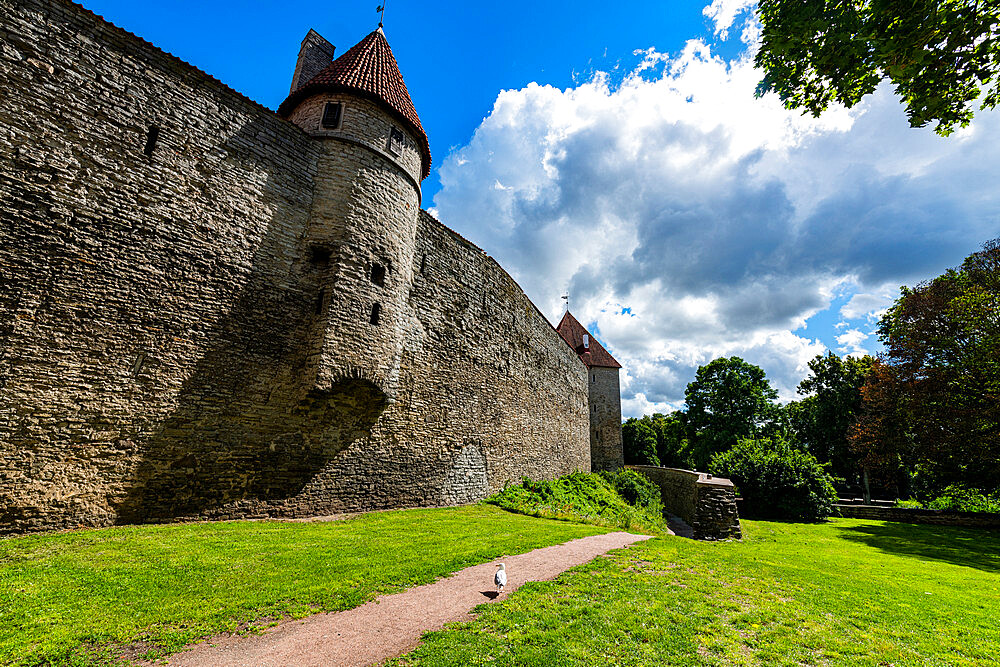 City walls of Tallinn, UNESCO World Heritage Site, Estonia, Europe