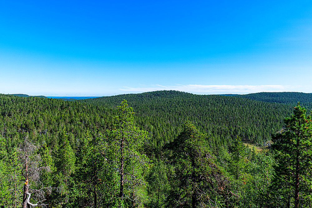 View from Bear's Den Tafone Rock over the Taiga, Lapland, Inari, Finland, Europe