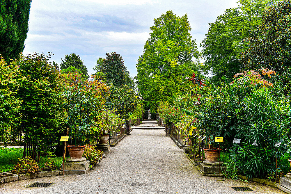 Orto Botanico di Padova, oldest botanical garden, UNESCO World Heritage Site, Padua, Veneto, Italy, Europe